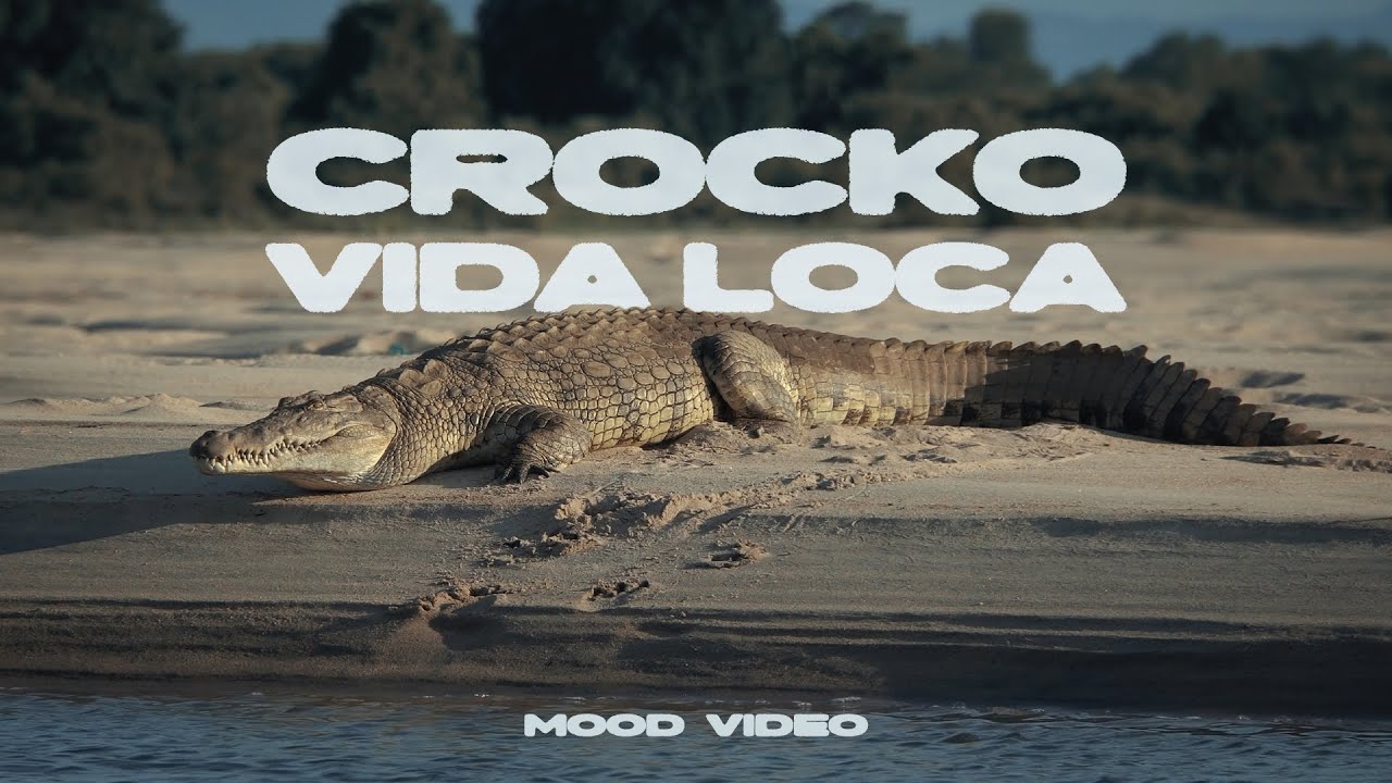 CROCKO - VIDA LOCA (Mood Video)