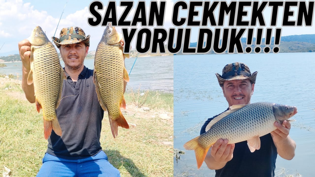 HARİKA SAZAN AVI!!!BALIK ÇEKMEKTEN YORULDUK//MÜTHİŞ BİR BALIK AVI YAPTIK.