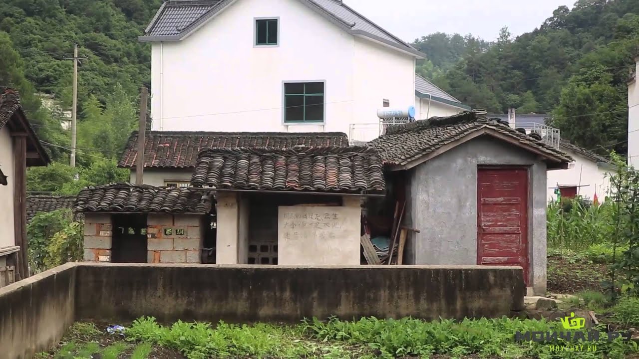 Зеленый чай Тай Пин Хоу Куй. Озеро Тайпин Ху, Регион Синминсян и окрестности