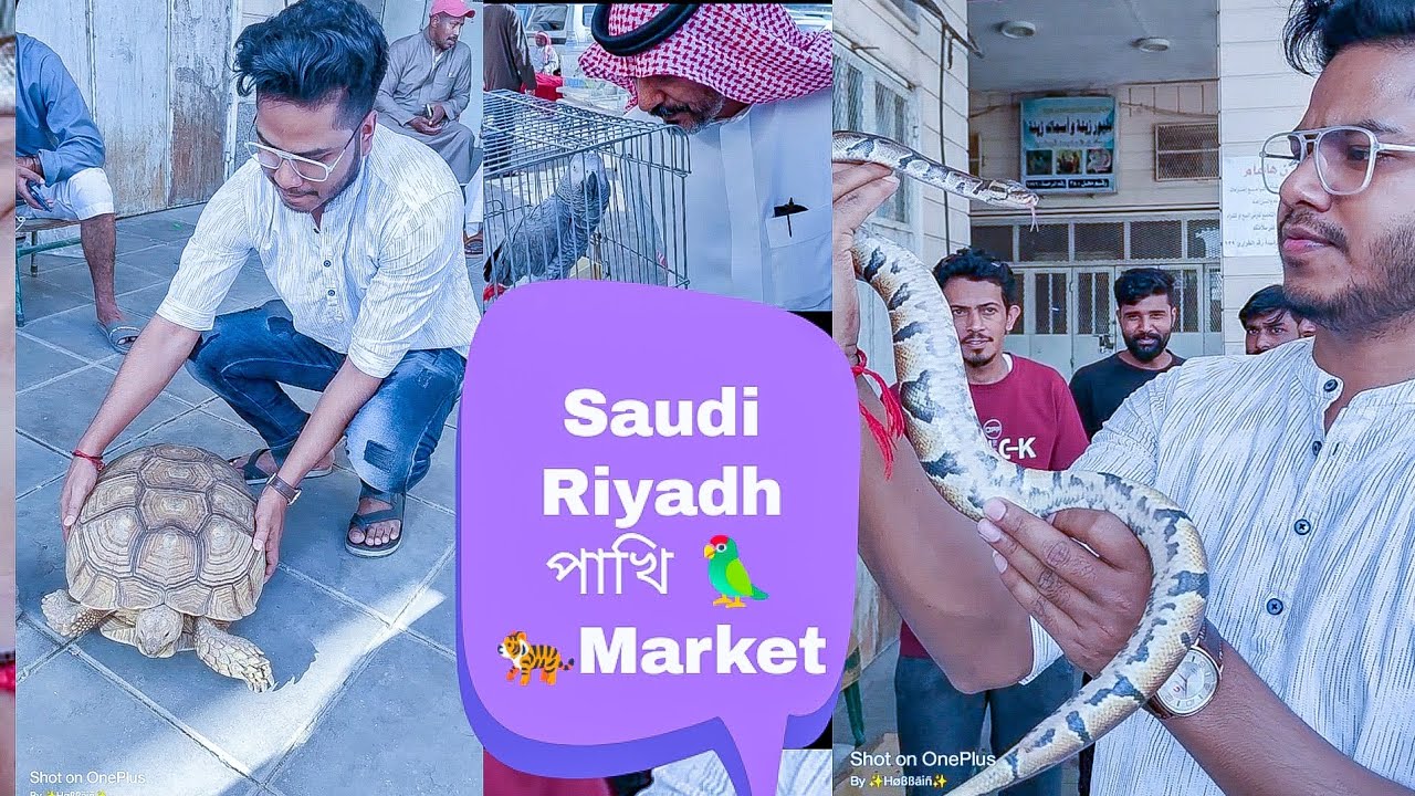 Soudi Arabia Pakhi market ! Riyadh Animal And Bird Market Biggest Bird Market|সৌদি পশু পাখির বাজার🦜🐅