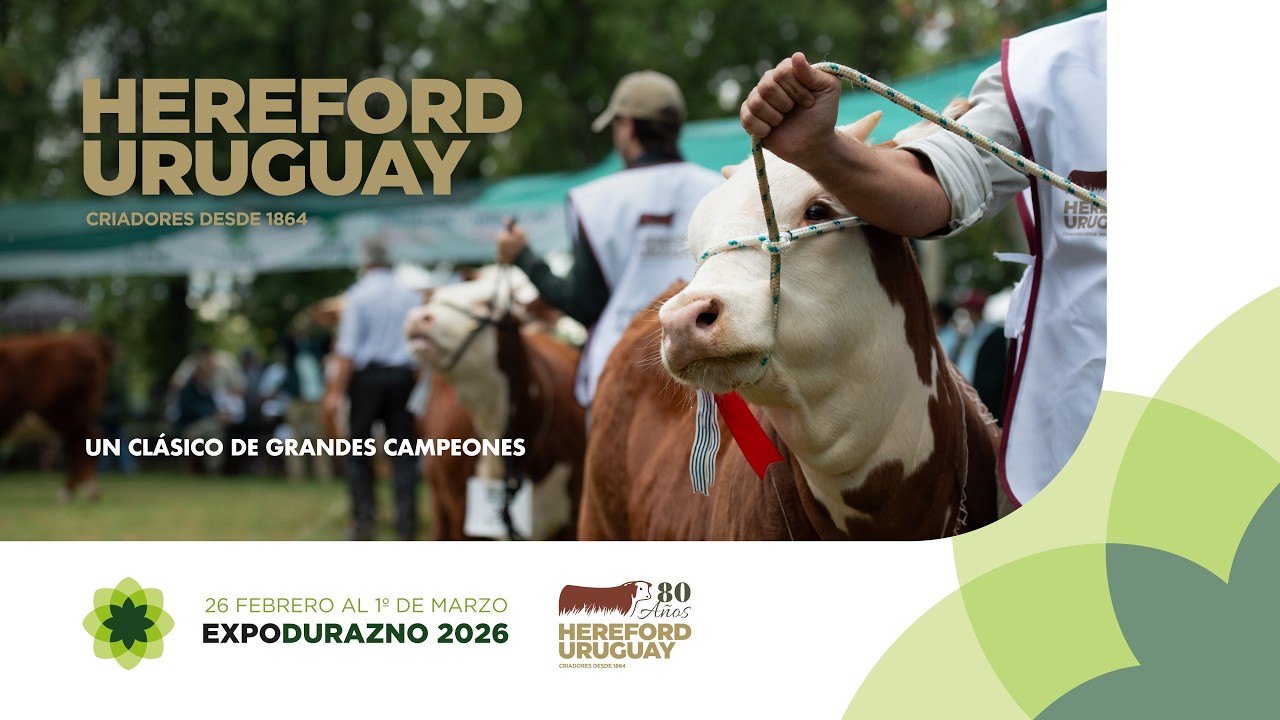 Jura Hereford - Expo Durazno