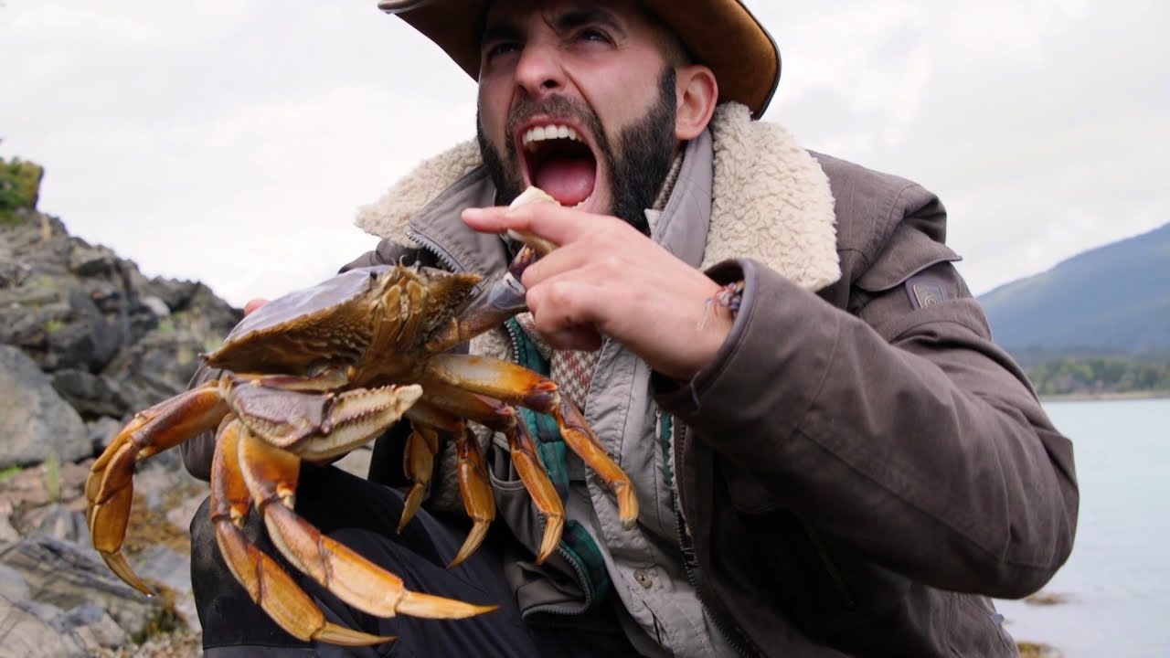 Could You Withstand The Pinch Of A Dungeness Crab?