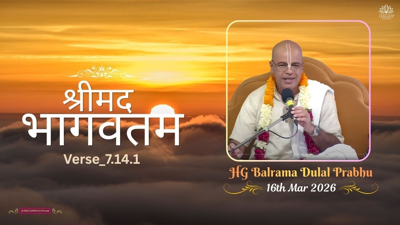 श्रीमद भागवतम_7.14.1 || HG Balaram Dulal Prabhu || 16th March 2026 @ISKCONNVCCPune