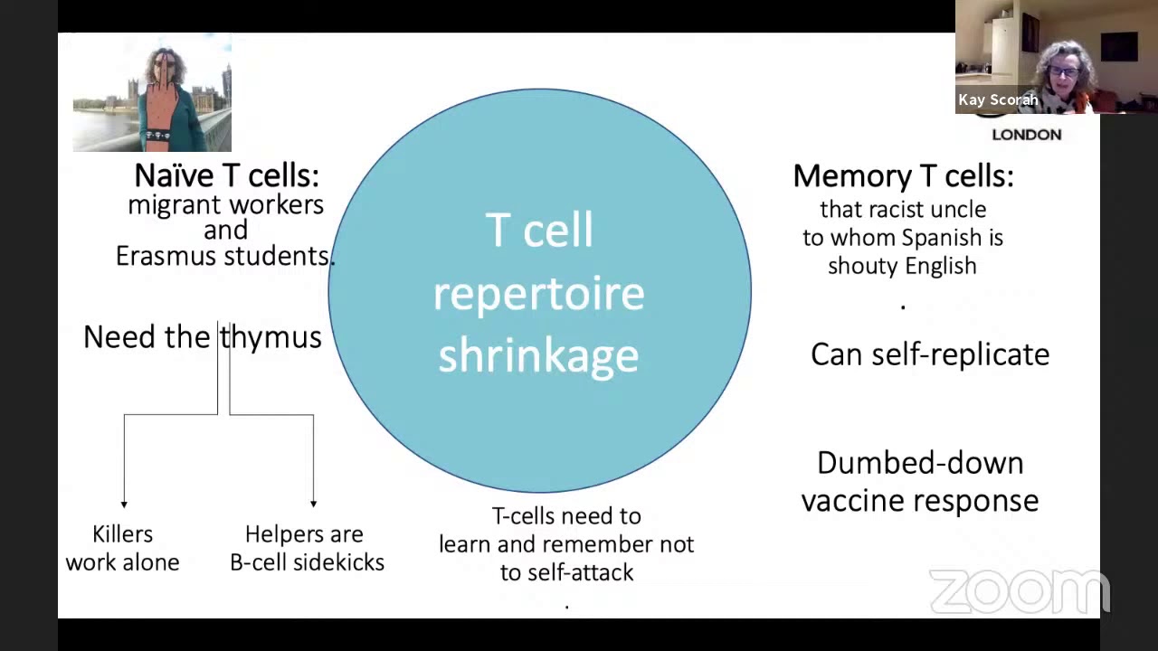 Kay Scorah - Immunosenescence (Nerd Nite London 20th January 2021)