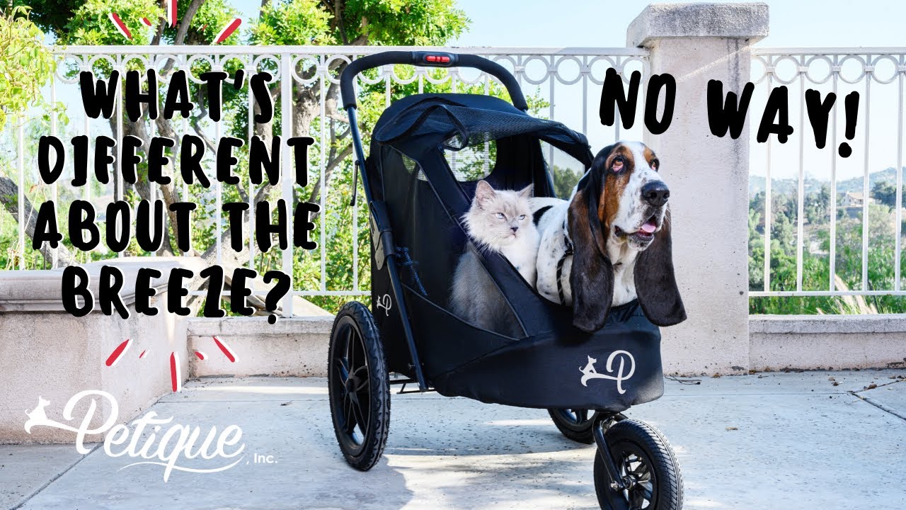 How to Remove the Fabric on Petique's Breeze Pet Jogger and MORE! For Dogs, Cats, and Small Animals!