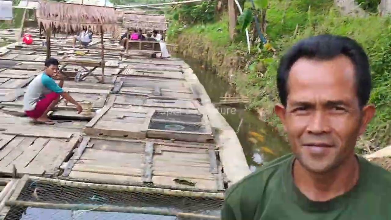 berburu ikan si nyonya 7 kg di citorek