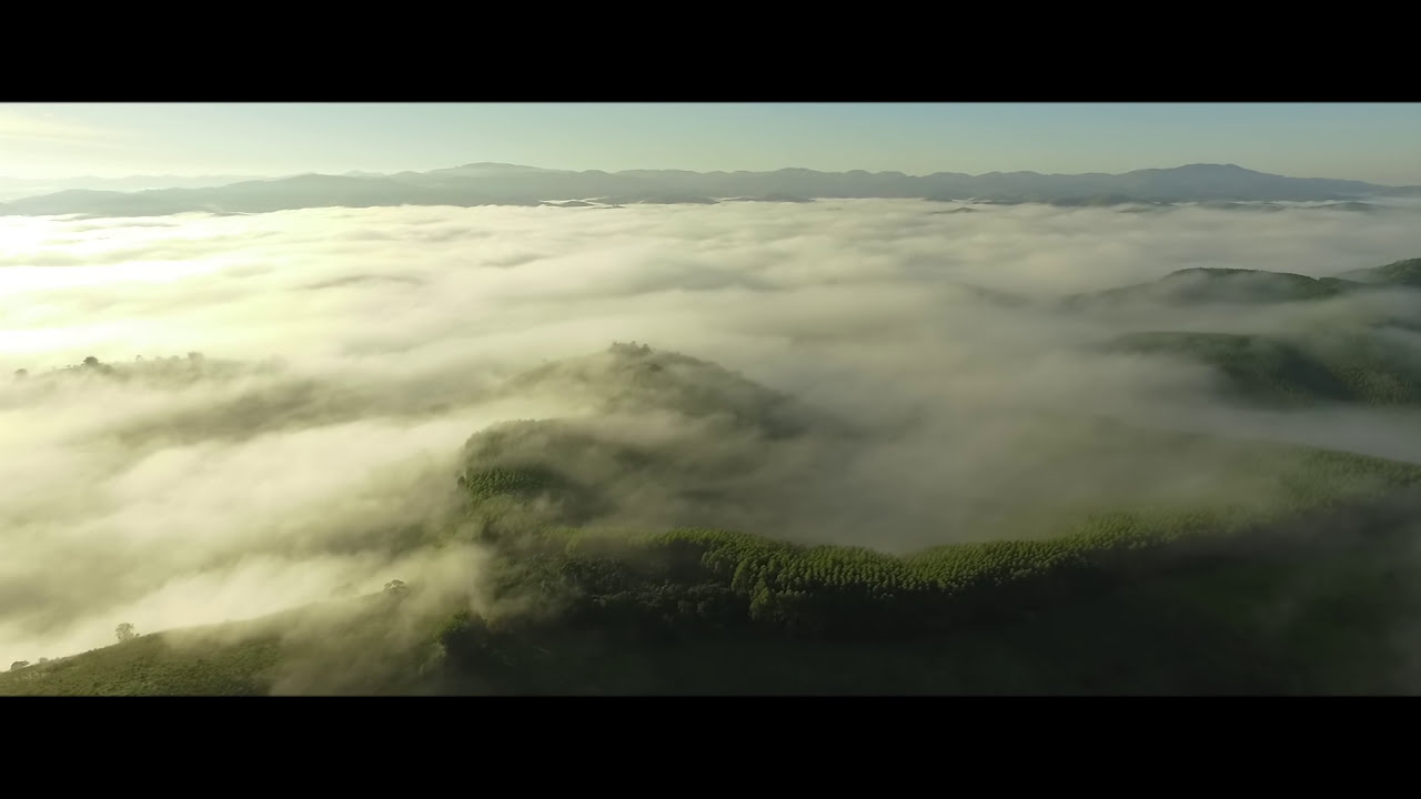 A.X.L - Herança Verde Escuro (Vídeo Clipe Oficial)