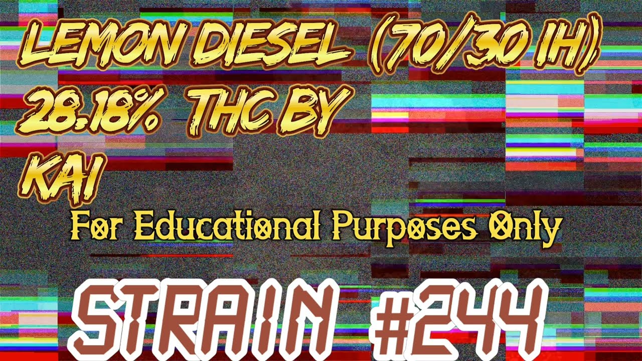 Lemon Diesel (IH) Strain Review Budpedia