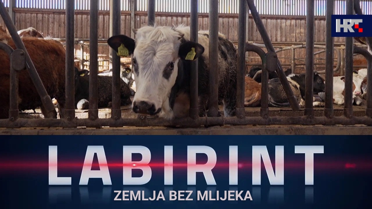 Labirint: Zemlja bez mlijeka