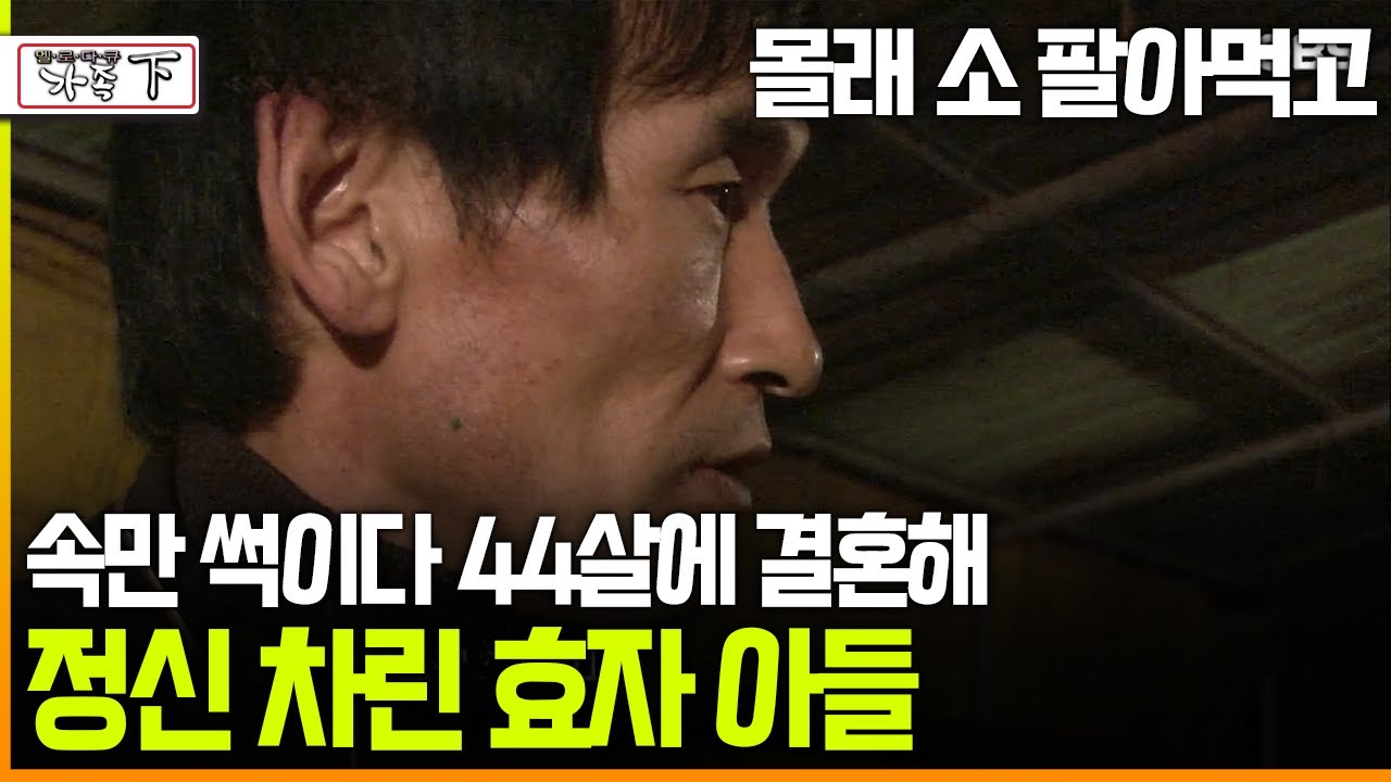 [멜로다큐 &lsquo;가족&rsquo; 215회下] 몰래 소 팔아먹고 속만 썩이다 44살에 결혼해 정신 차린 효자 아들