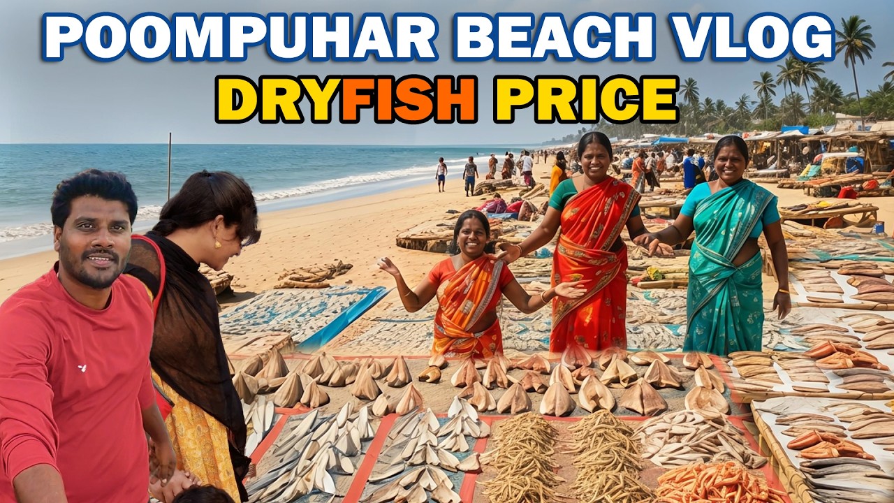 பூம்புகாரில் கருவாடு என்ன விலை  கிலோ 50 முதல் | DRY FISH SHOP | Alphoneskathai ​