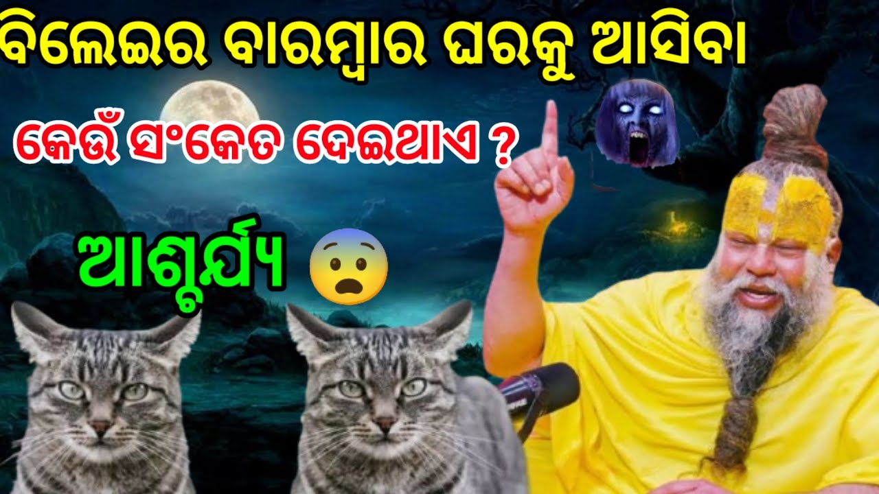 ଘରକୁ ବାରମ୍ବାର ବିଲେଇ ଆସିବା କେଉଁ ସଂକେତ ଦେଇଥାଏ/vast tips/vastu tips for money