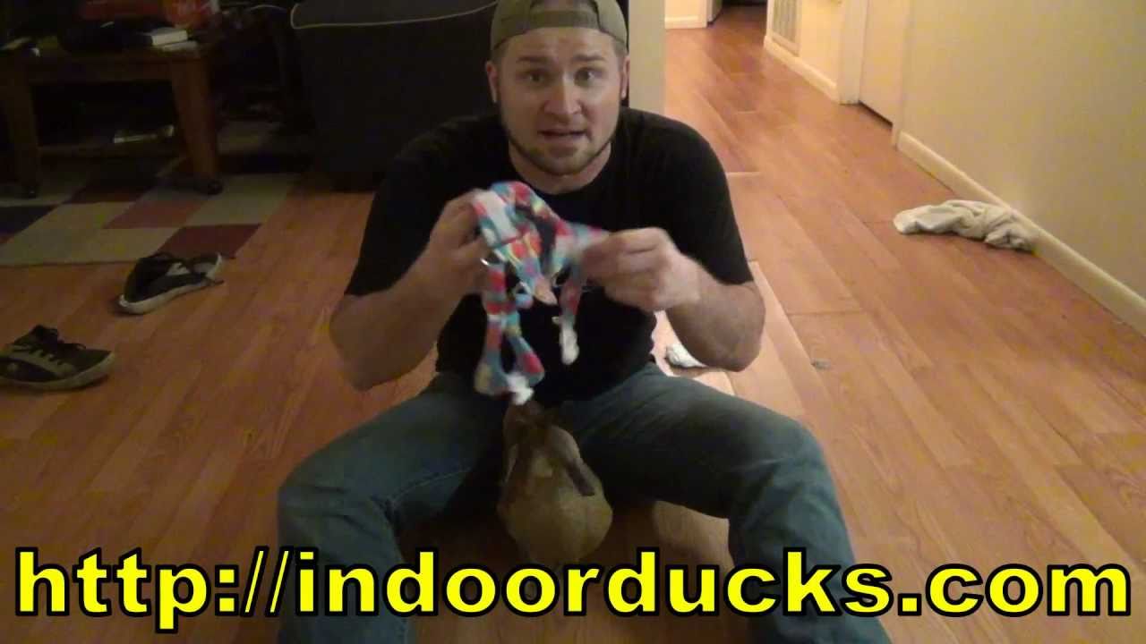 Partyfowlpets.com Duckie Diaper Harness