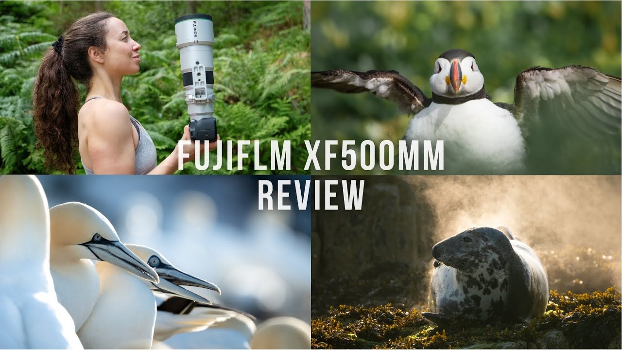 ОБЗОР Fujifilm XF500mm | Fujifilm X-H2s | Фотография и видеосъёмка