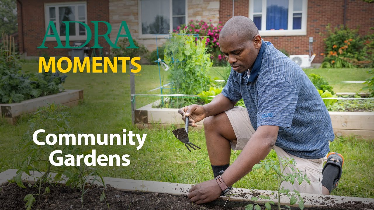Community Gardens