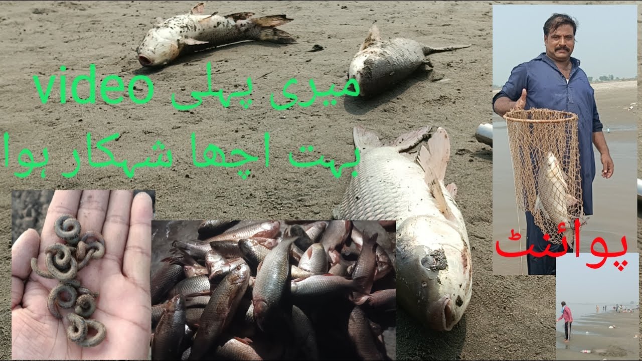 Big Rahu fishing hunting catching with hock darya Ravi river fresh water hunter fish man