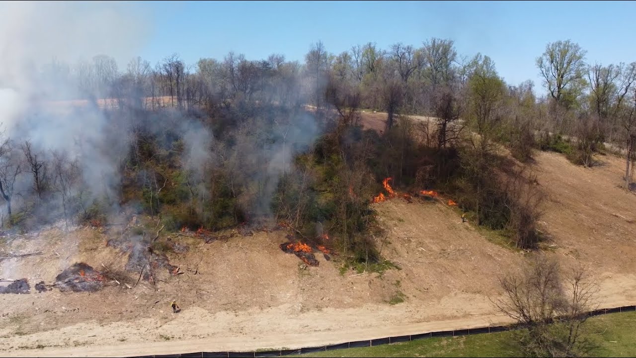 Prescribed Burn at Wizard Ranch Nature Preserve Combats Invasive Plants