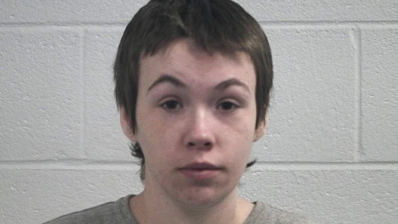 Authorities arrest mother of 2 young children who died