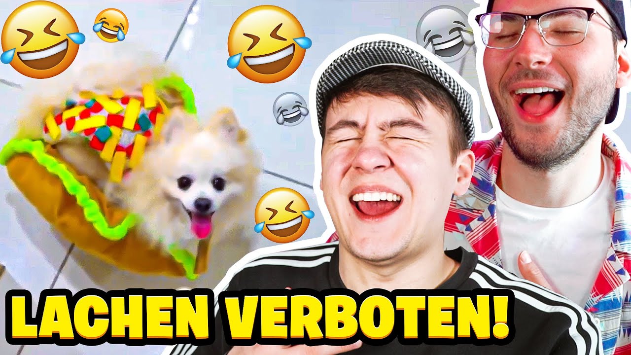 DIESER HUND IST EIN TACO! - Wer Lacht, der Lacht!