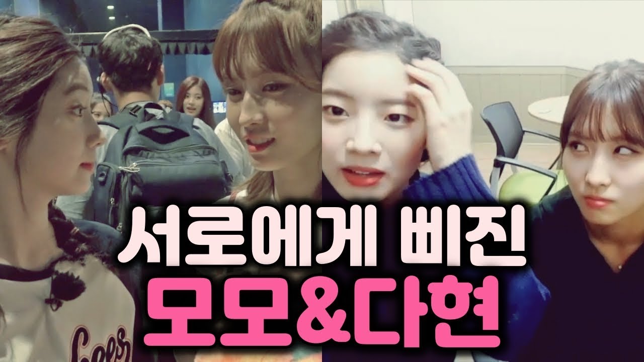 서로에게 삐진 트와이스 모모 x 다현