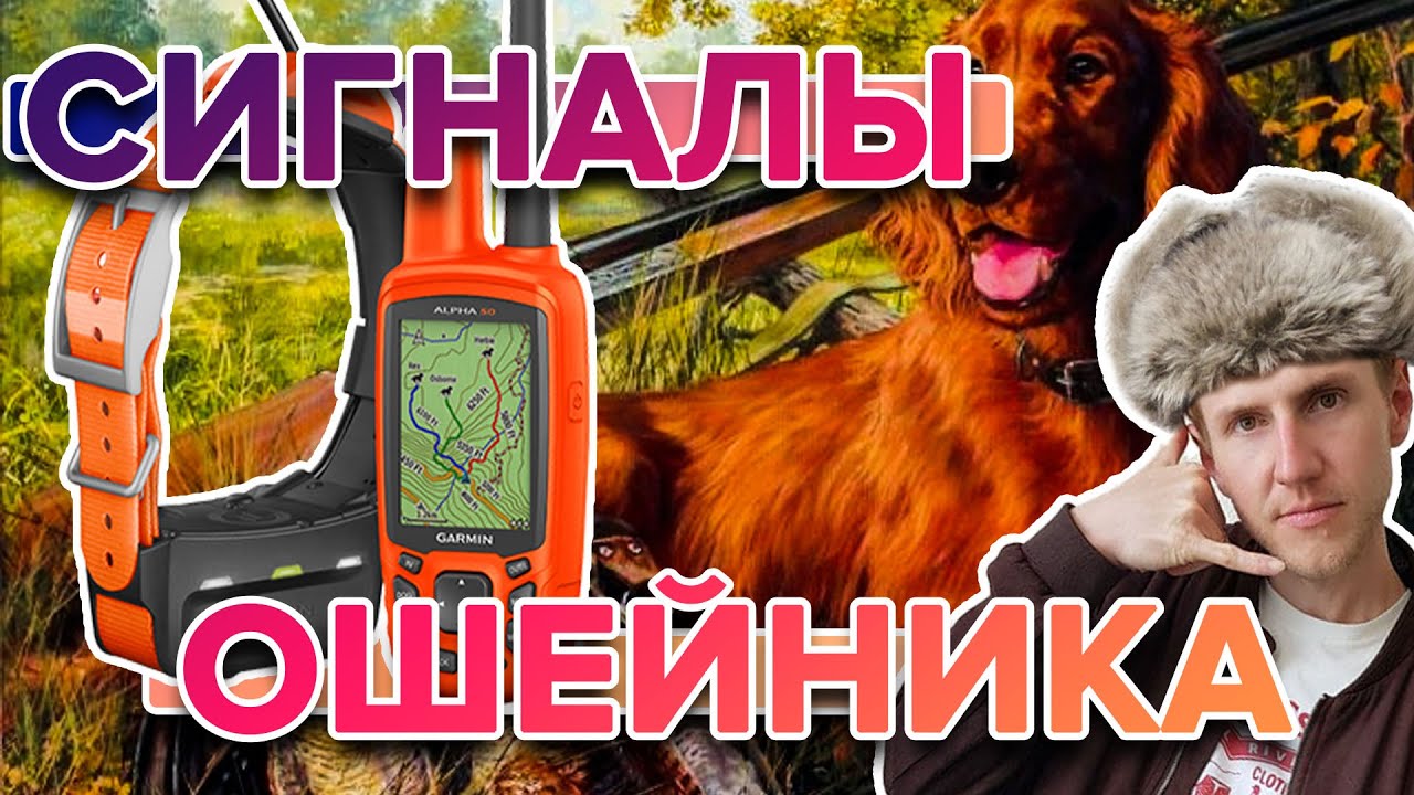 Инструкция - Ошейник Garmin T5 и TT15.  Что означают сигналы ошейника?