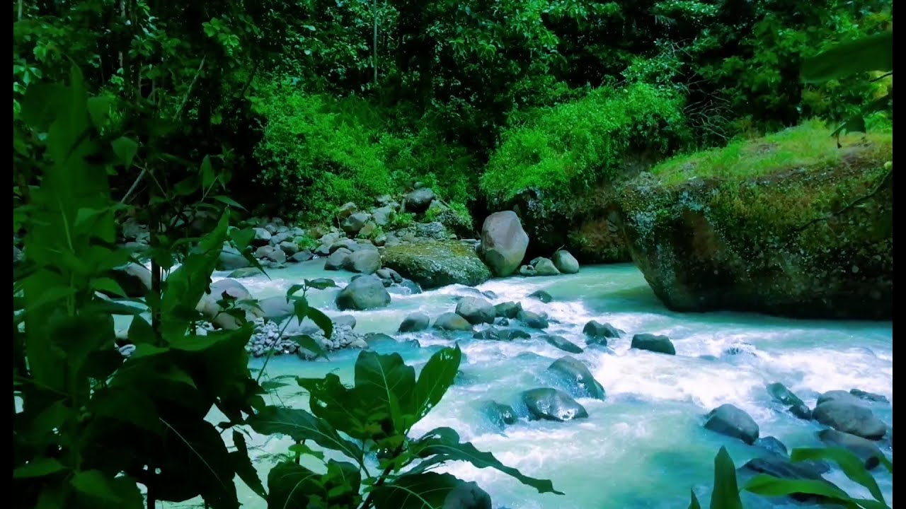 Tranquil River Ambience – Soft Stream and Forest Sounds for Deep Sleep and Inner Peace