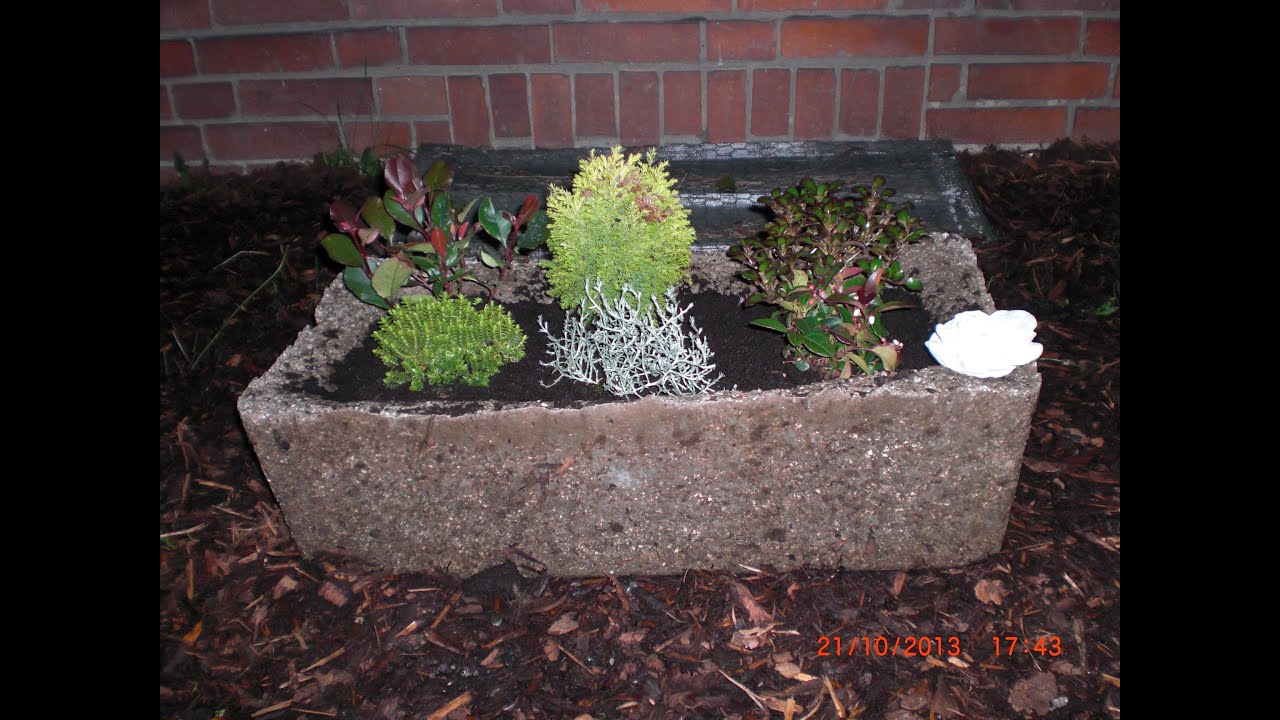 Beton giessen -Großer Pflanztrog aus Hypertufa mit Perlite, Blumenerde und Zement