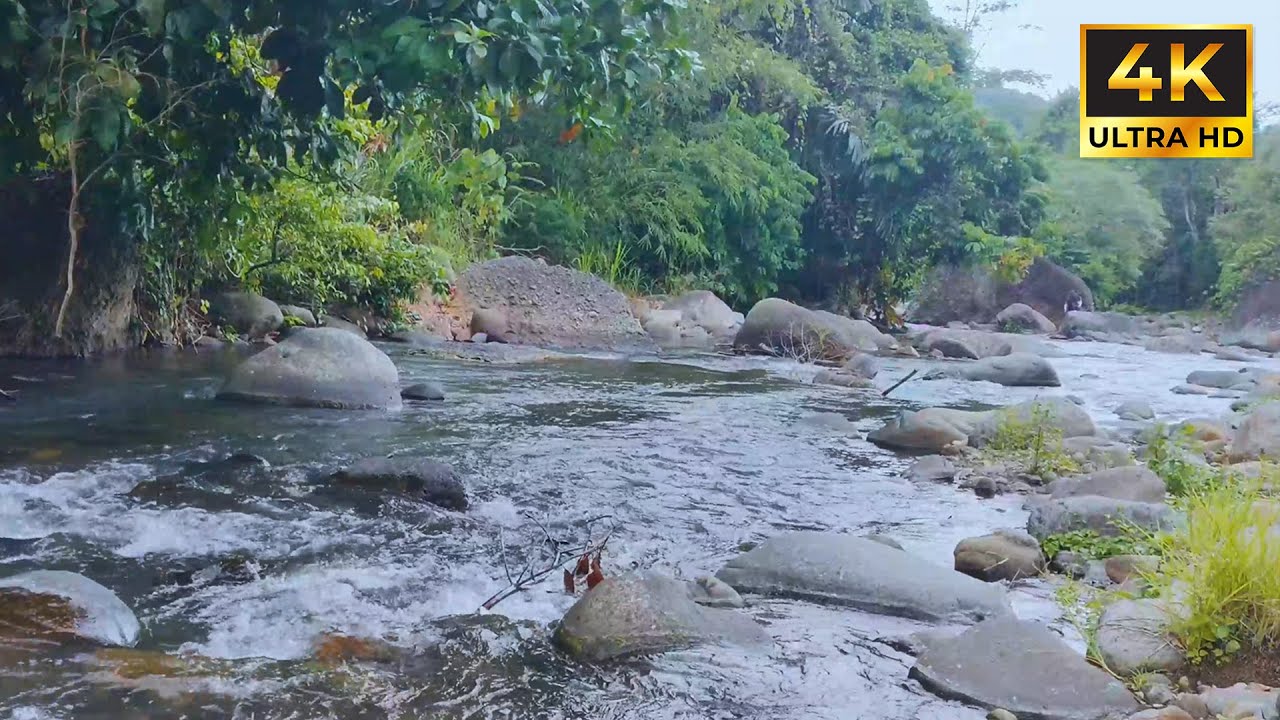 Gentle River Flow Over Rocks | Relaxing Water Sounds for Peace, Focus & Deep Sleep 🌊🍃