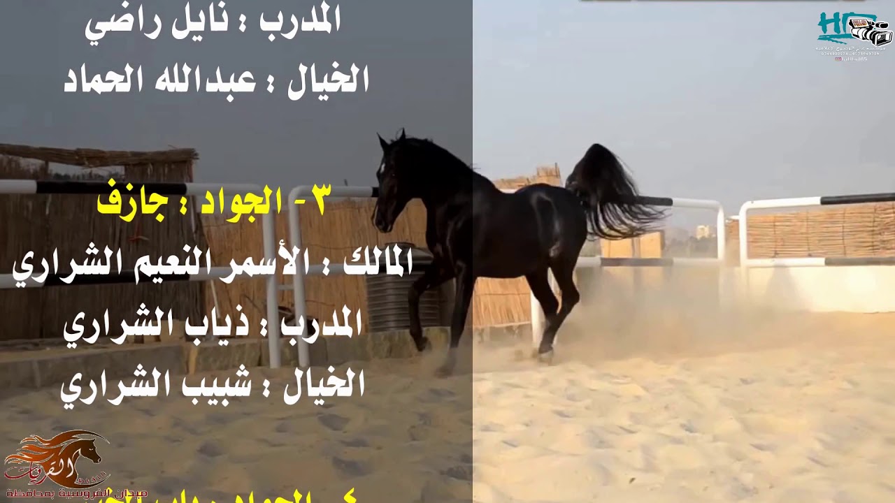 الحفل الثالث لموسم سباقات عام 1439هـ على كأس ميدان فروسية القريات