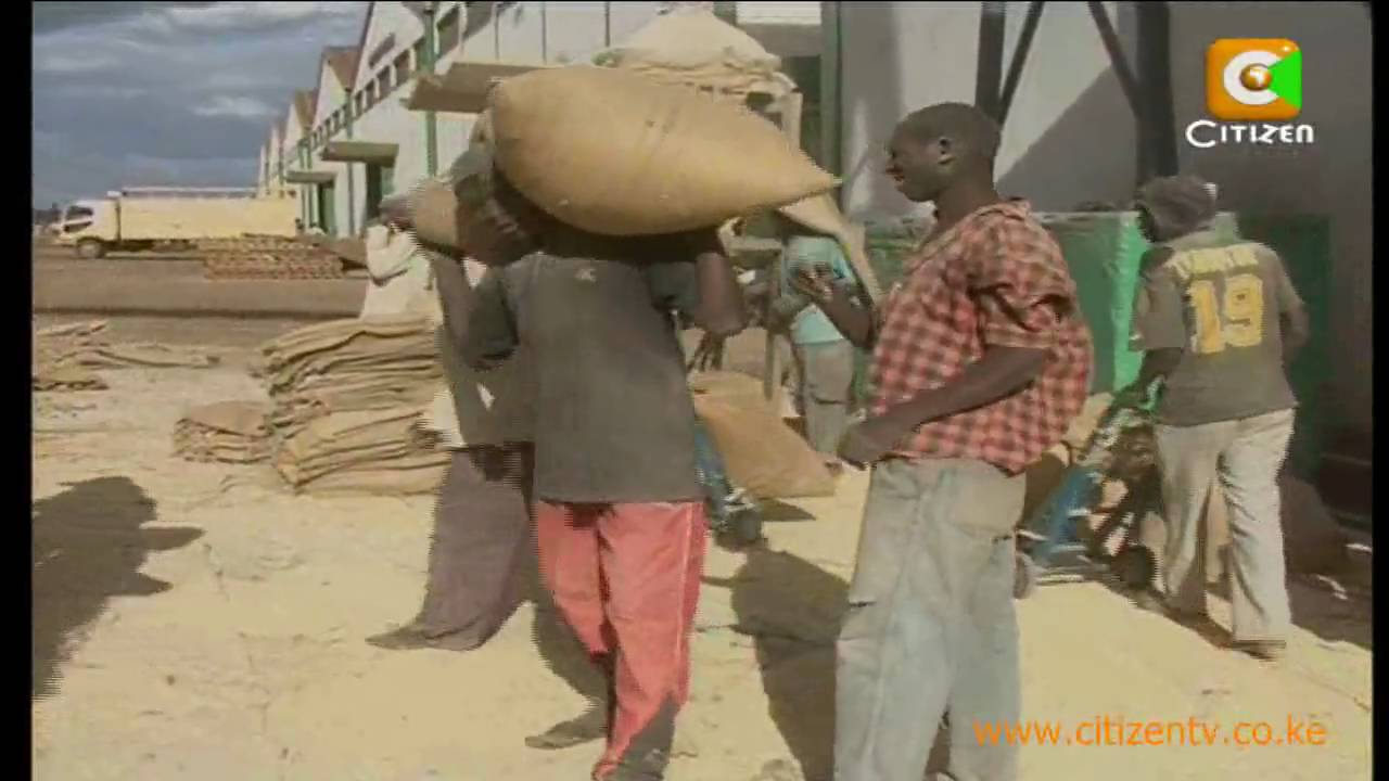 Raila Aide, Caroli Quizzed Over Maize Scandal