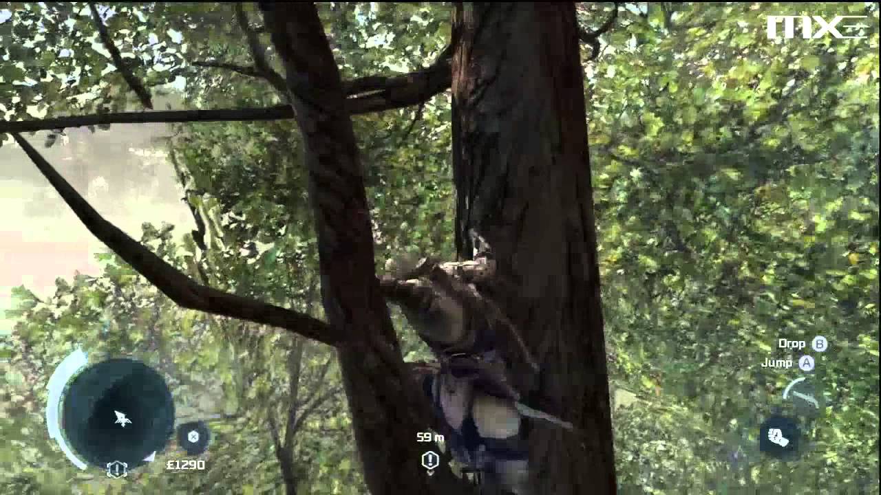 Assassin's Creed 3 - Acending A Giant Tree HD