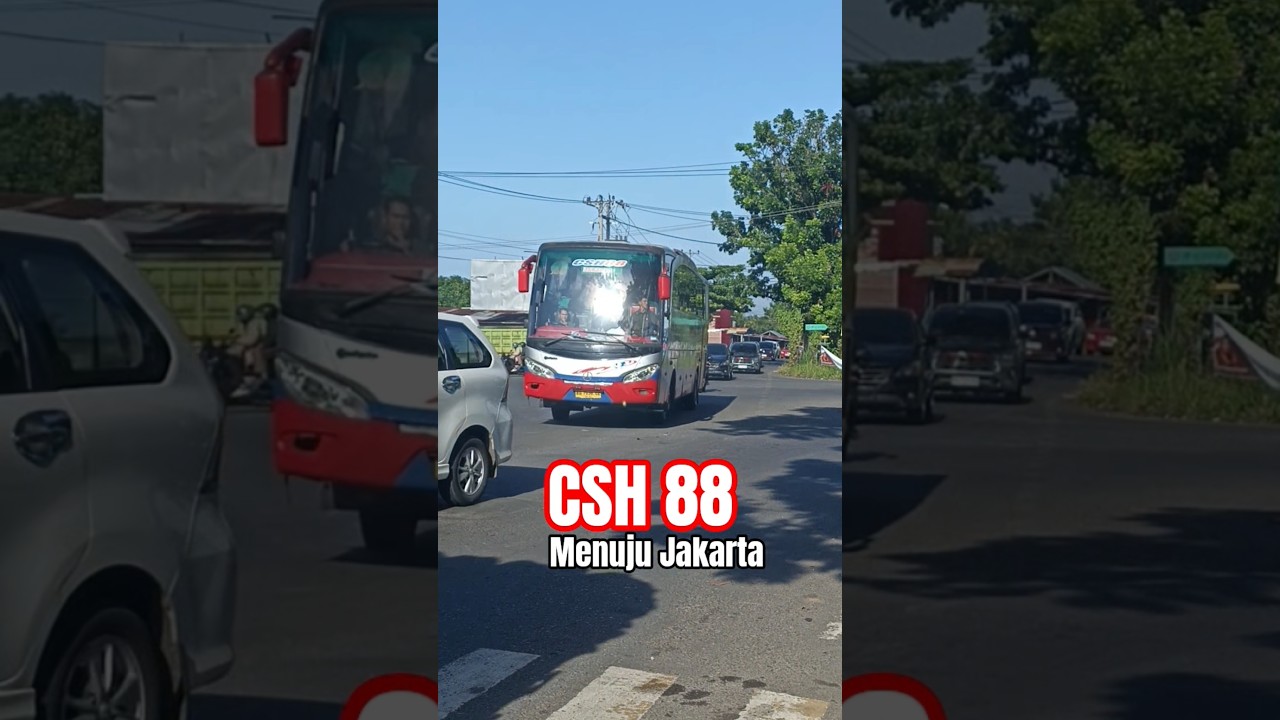 CSH88 menuju Jakarta #csh88 #penyubalap #bisserbengkulu