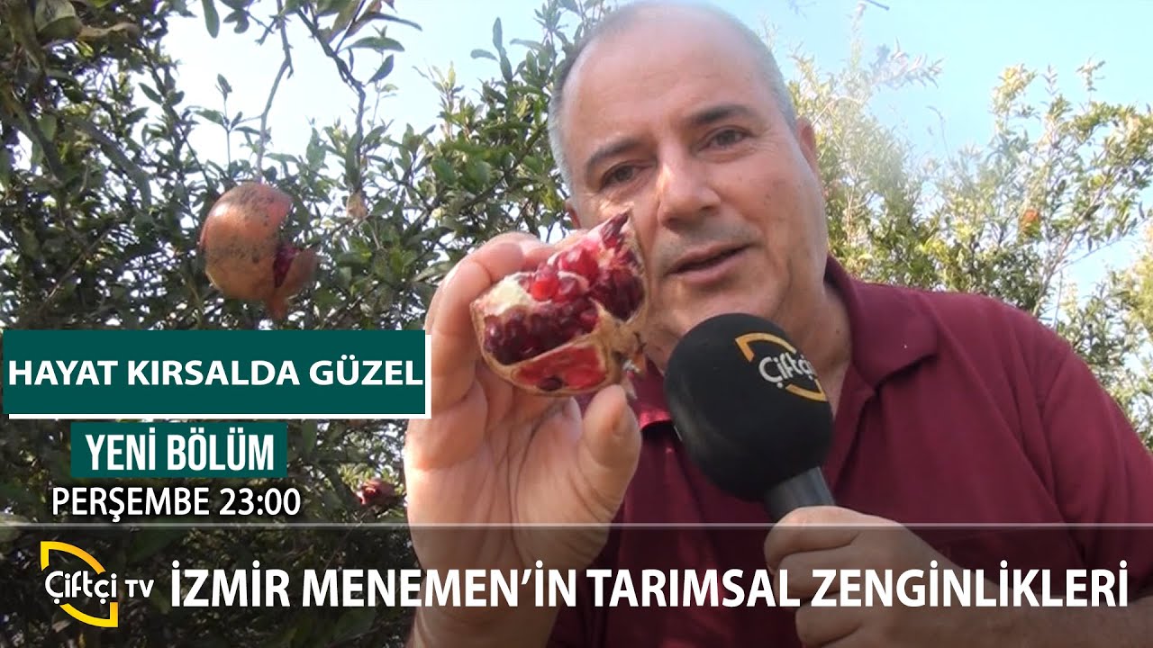 İzmir Menemen'in Doğal Güzellikleri - HAYAT KIRSALDA GÜZEL #çiftçi #tarım #hayvancılık