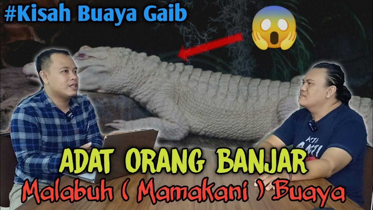 KISAH BUAYA GAIB - ADAT ORANG BANJAR - MELABUH ( memakani ) BUAYA #buaya