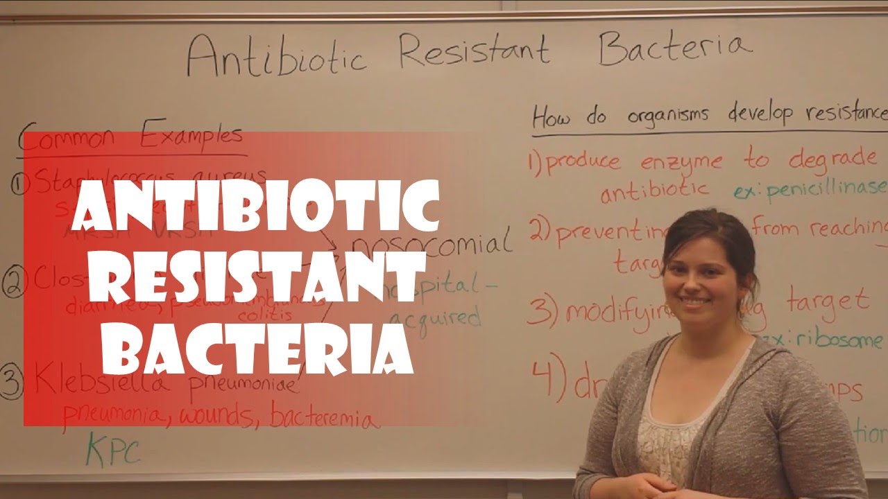 Antibiotic Resistant Bacteria