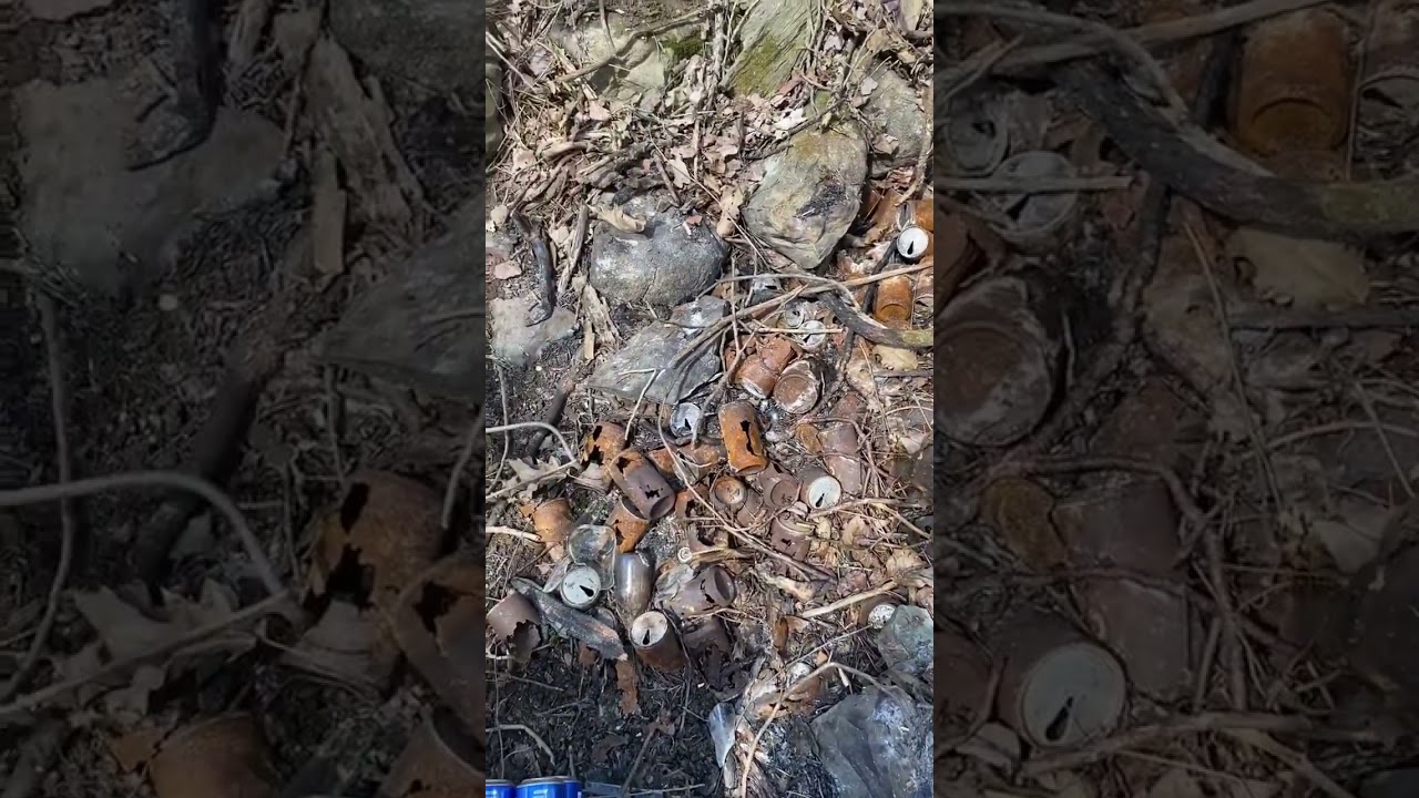 Old cellar hole 🕳️ #maine #metaldetecting #metaldetectingchannel #lifestyle