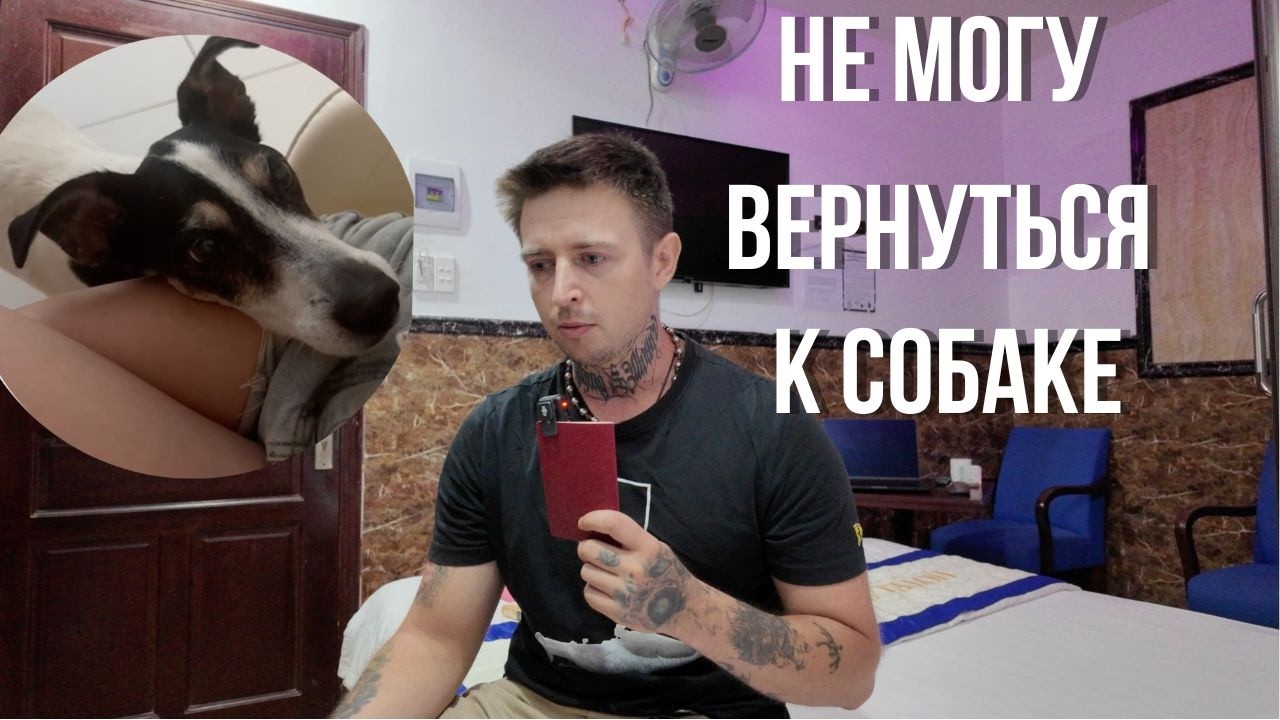 Я застрял во Вьетнаме, пока моя собака борется за жизнь... (Атос, держись)