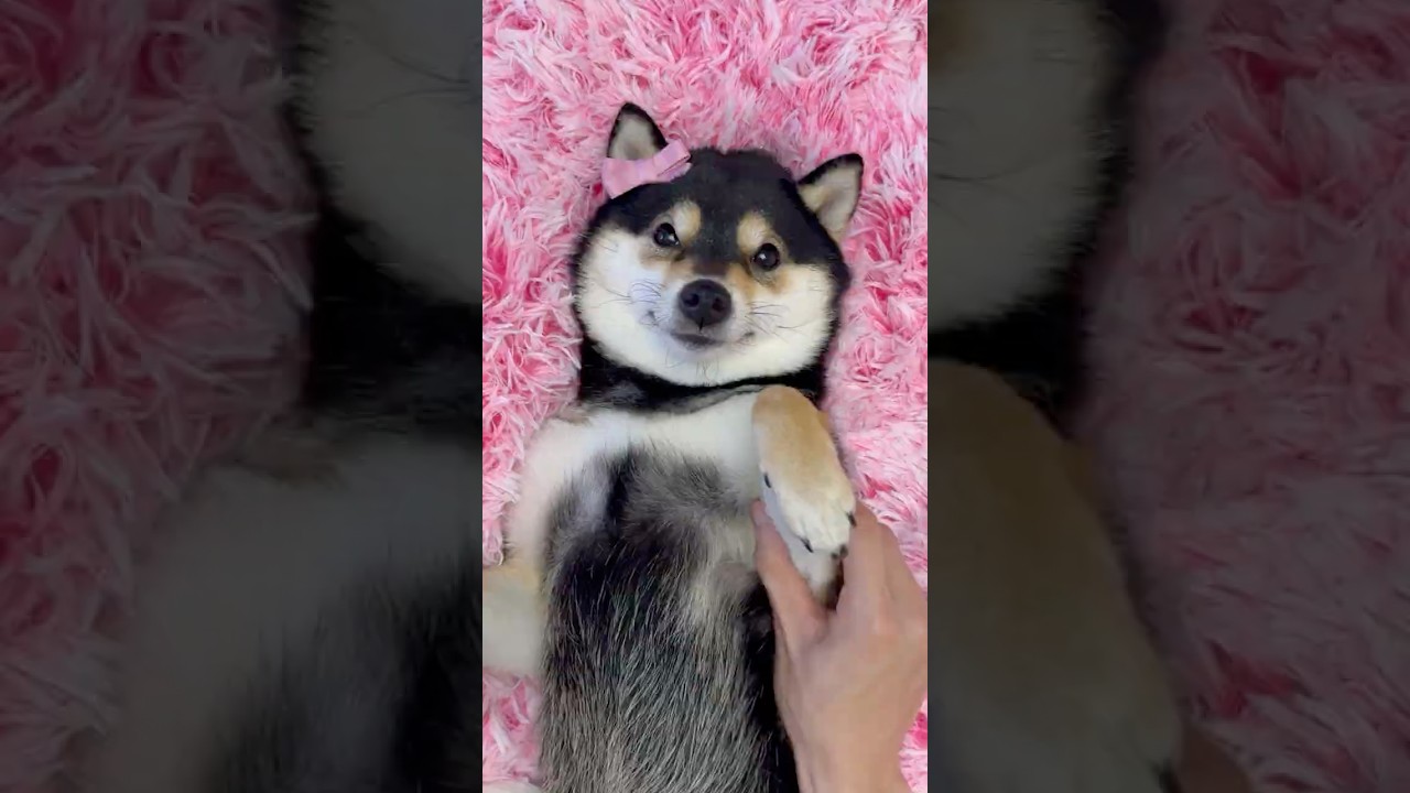 ASMR | Manyu's Immersive Foot Care | Pink Vibes