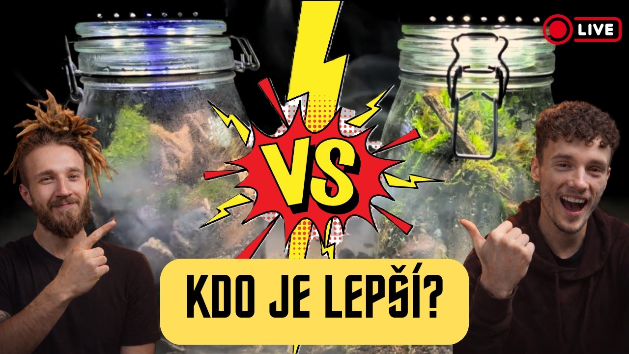 SOUBOJ VE STAVBĚ EKOSYSTÉMU!