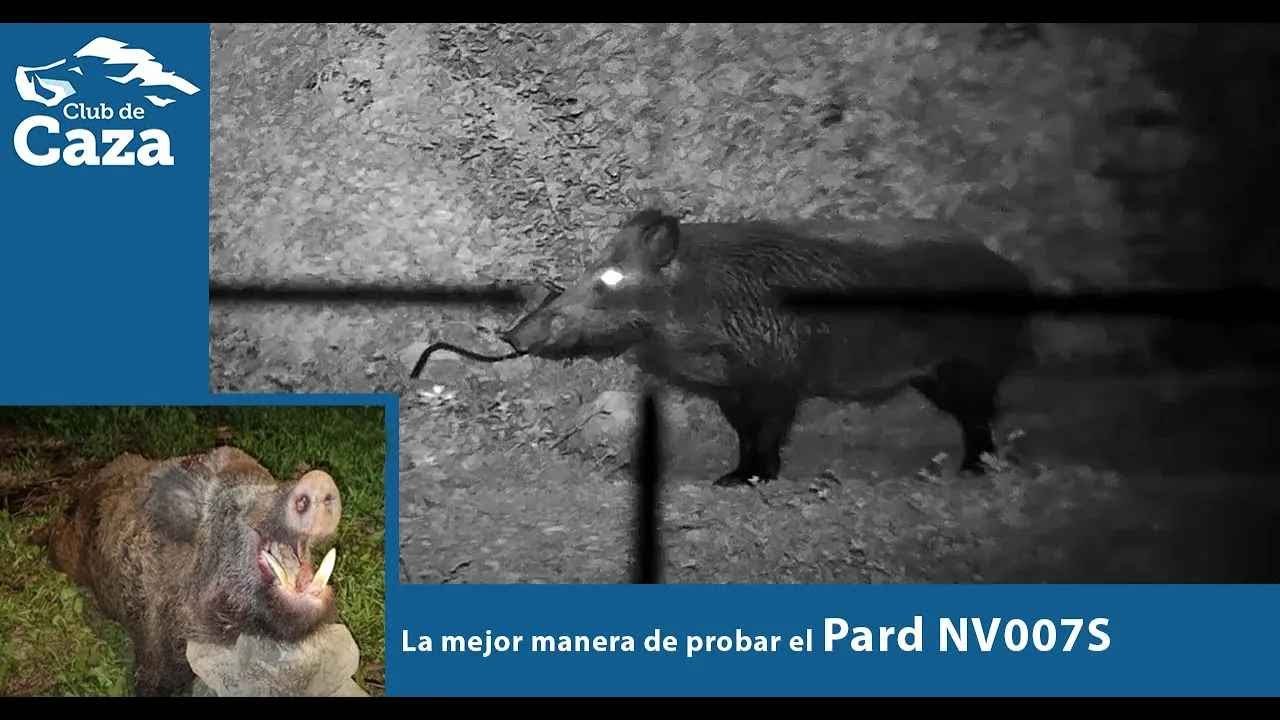 Qu&eacute; mejor manera de probar el monocular nocturno PARD NV007S que cazando un gran jabal&iacute;