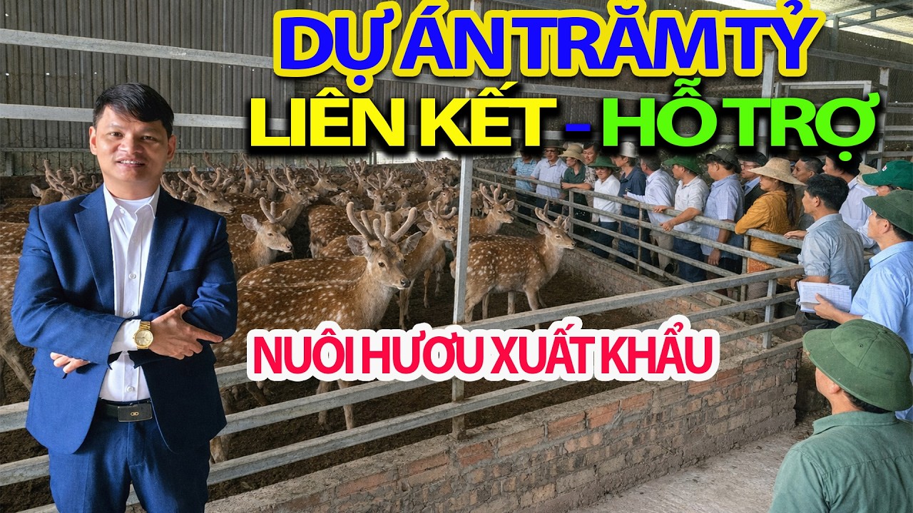 2026 Mở Rộng Dự Án Liên Kết Nuôi Hươu Xuất Khẩu Hàng Trăm Tỷ Đồng - Hỗ Trợ Bà Con Cùng Làm Giàu