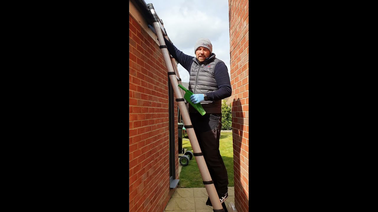 PestWatchTV What pests to look out for when around the house