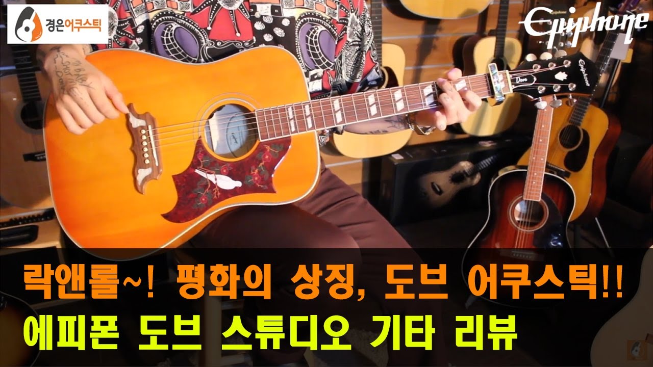[에피폰기타] 에피폰 도브 스튜디오 기타 리뷰 (Epiphone Dove Studio Guitar Review)