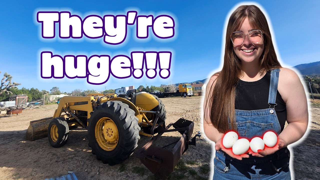 I Found My First Goose Egg!