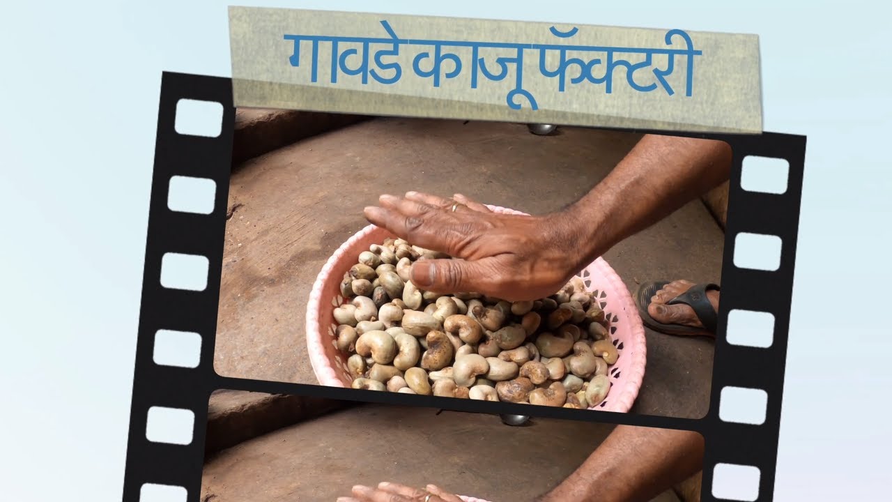 Gawde Cashew Factory - Part 1| Vengurla | गावडे काजू फॅक्टरी - भाग 1 | वेंगुर्ला | काजू कारखाना | 4K