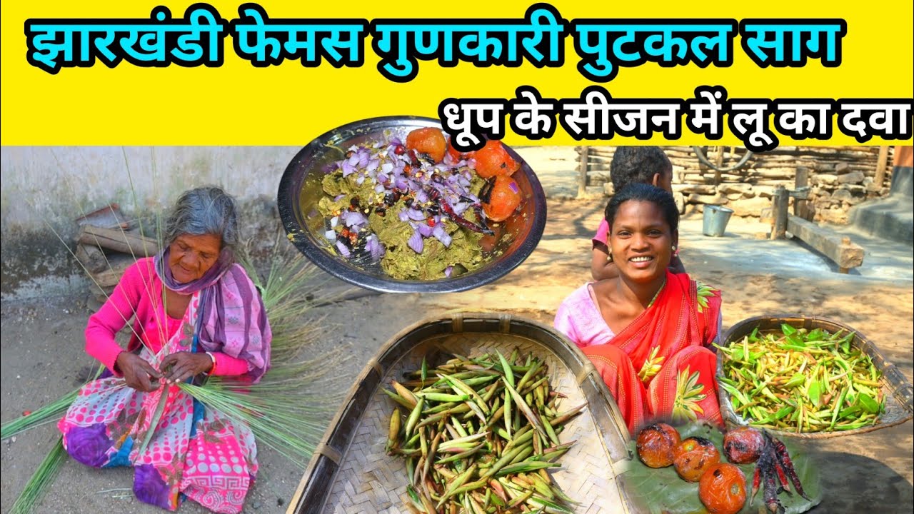 झारखंडी फेमस गुणकारी पुटकल साग कई बीमारियों का दवा @josphinavlogs 