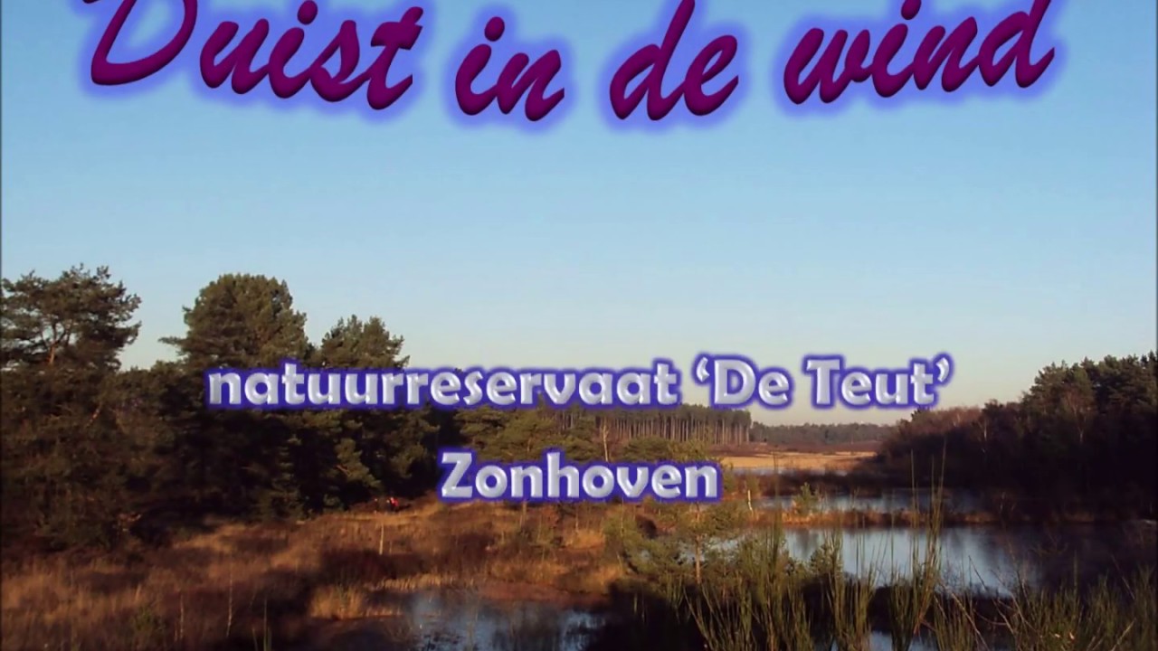 Duist in de Wind - De Teut Zonhoven