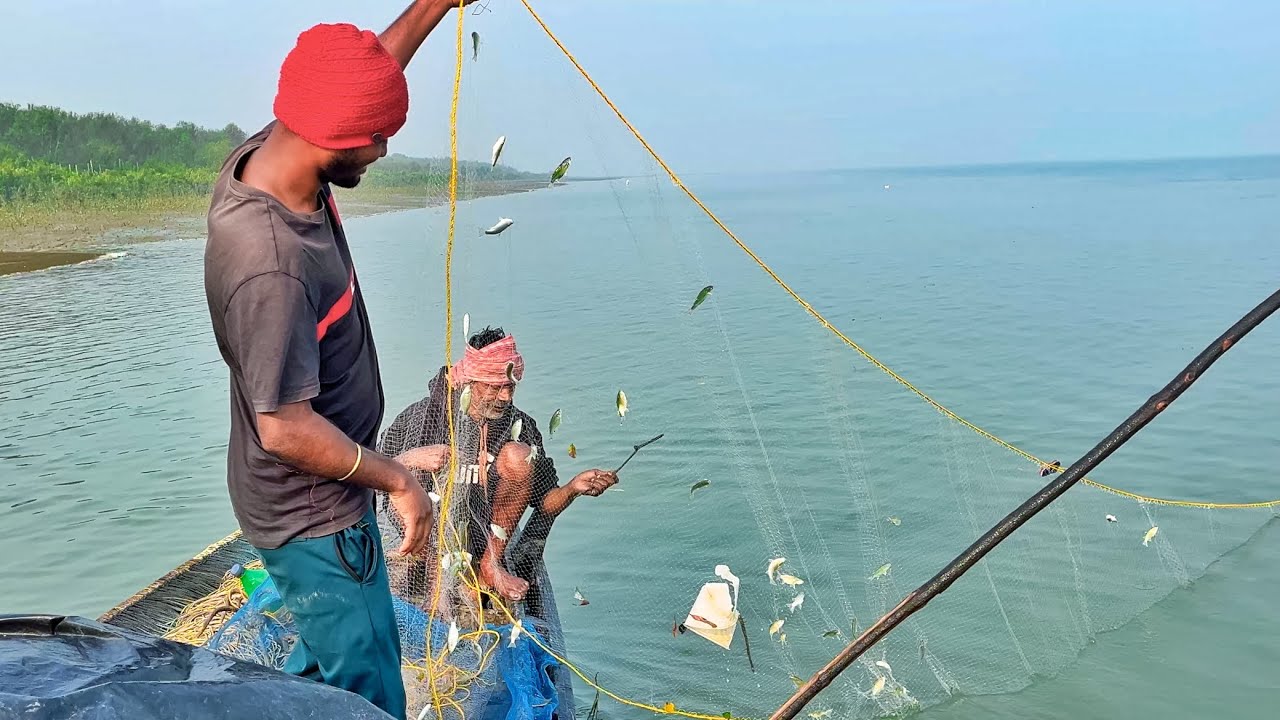 ডুবো জাল দিয়ে প্রচুর পরিমাণে পার্শ্বে মাছ পেলাম sundarban net fishing!!!