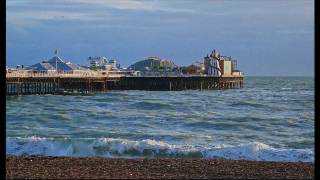 Ecotherapy In Brighton (By Chiara Fortina Santin)