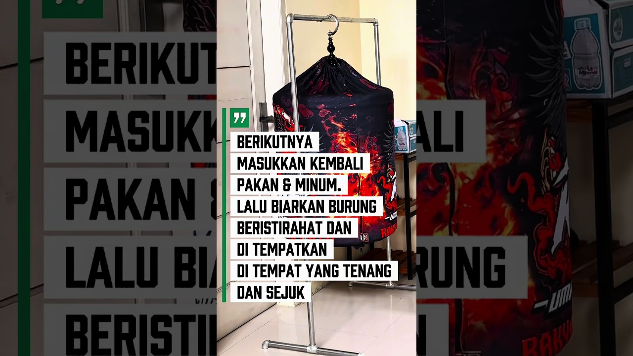 JEMUR KERODONG SEPERTI INI YANG KALIAN BUTUHKAN